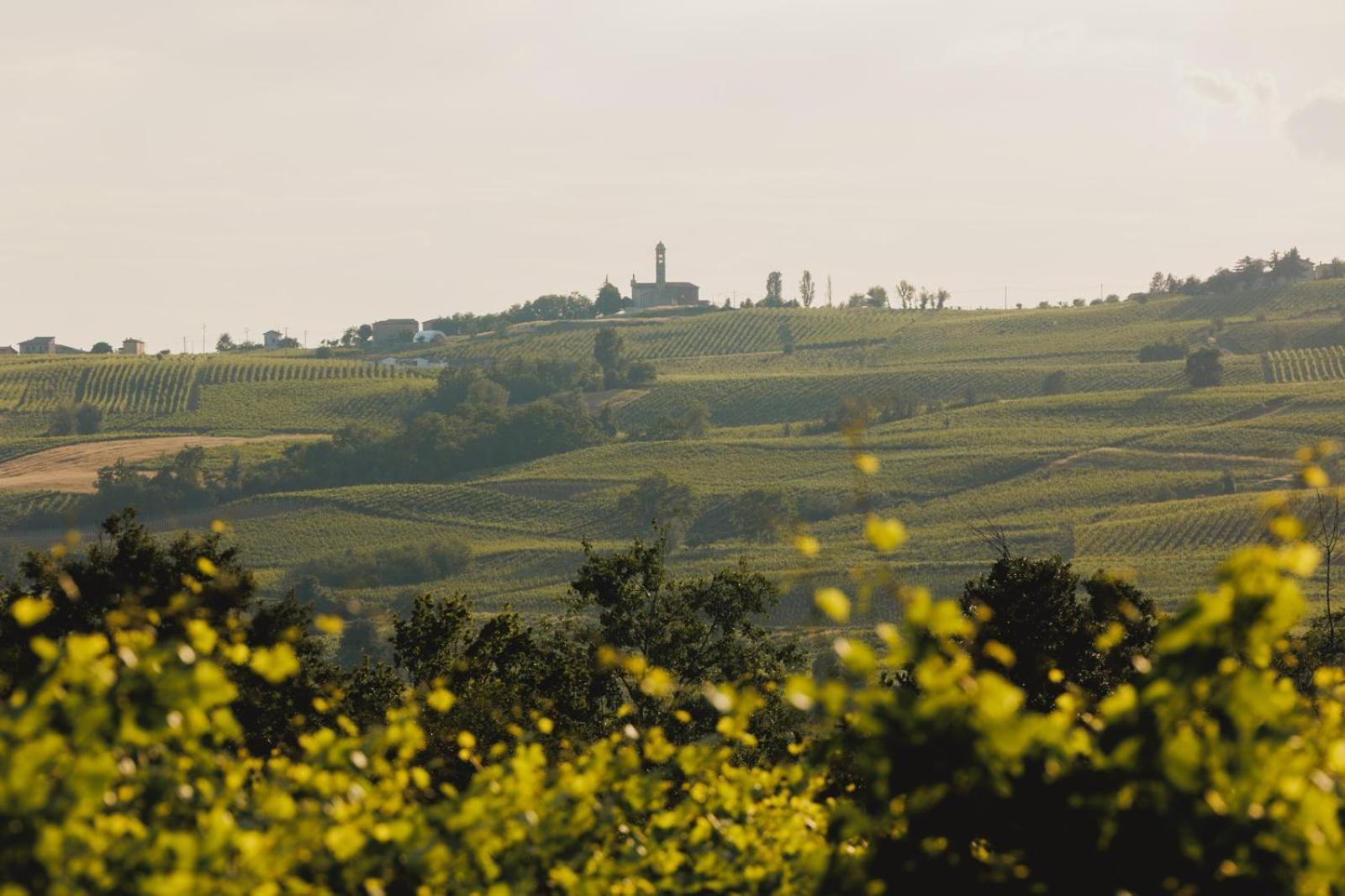 Agriturismo Bosco Longhino Santa Maria della Versa Экстерьер фото